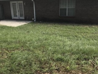 modern-1-bed-1-bath-apartment-for-rent-fully-renovated-jacksonville-fl