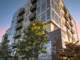 very-clean-very-nice-furnished-1bdrm-1bth-everett